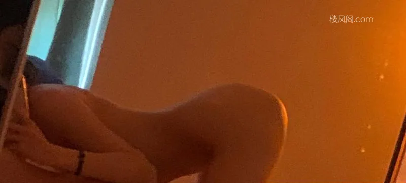 全国免费楼凤资源