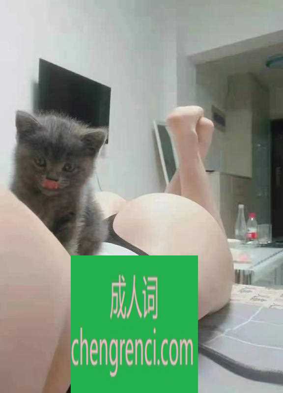大连 服务项目： 胸推 臀推 阴推 漫游 指划 制服 丝袜 高跟 口活 口爆 观音情趣 真实本人照片 - 成人词资源网