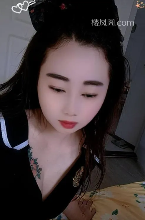 全国免费楼凤资源