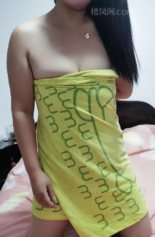 全国免费楼凤资源