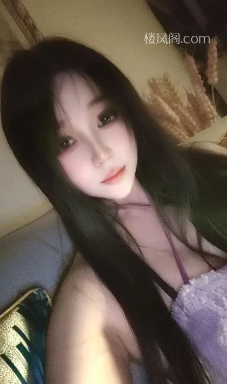 全国免费楼凤资源