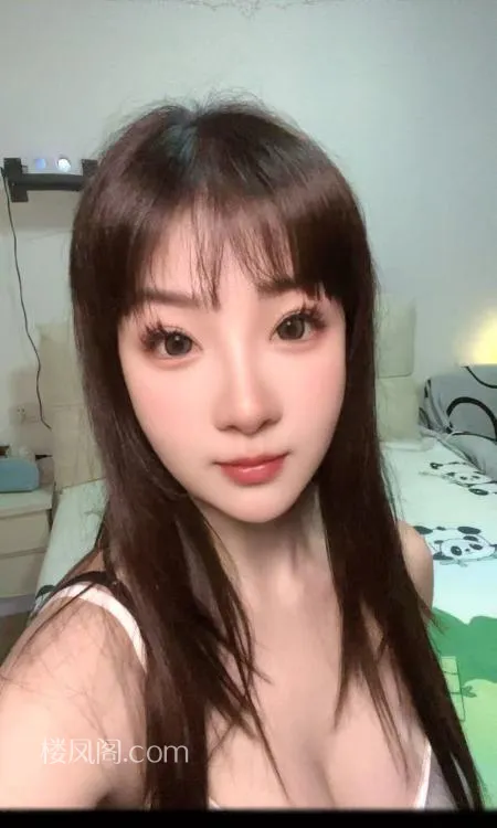 全国免费楼凤资源