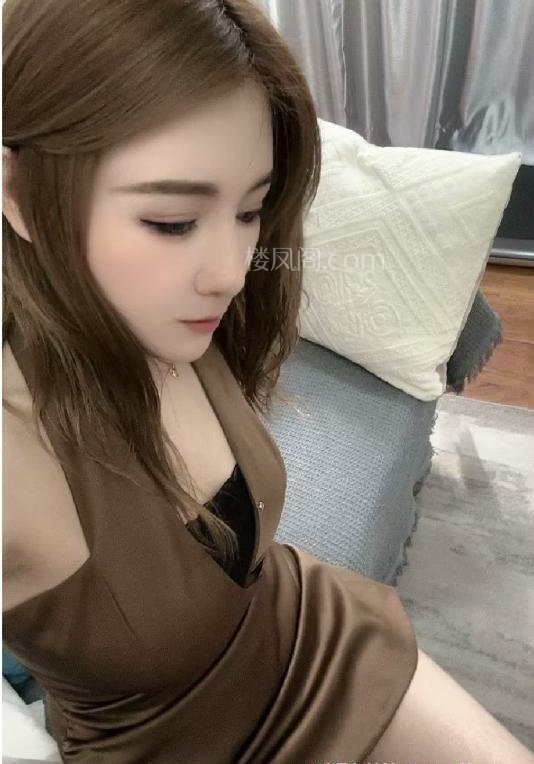 全国免费楼凤资源