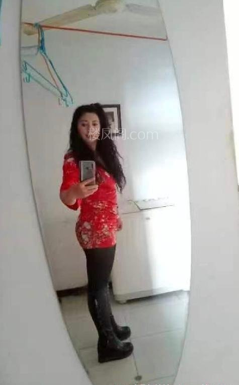 全国免费楼凤资源