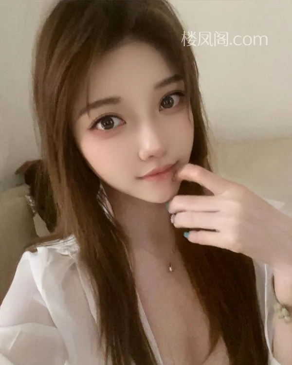 全国免费楼凤资源