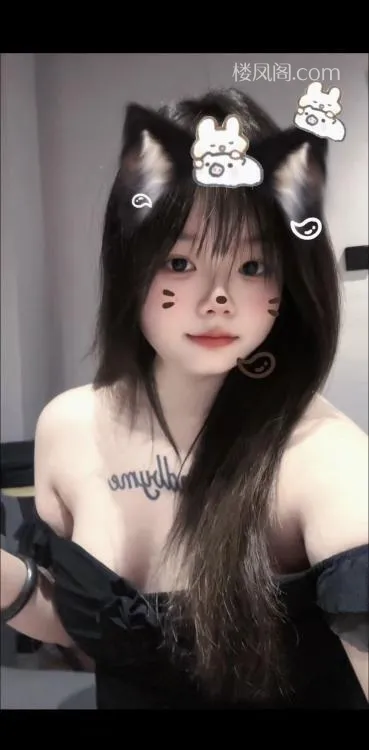 全国免费楼凤资源