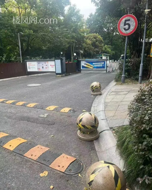 全国免费楼凤资源