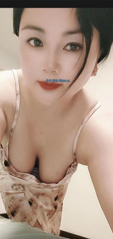 全国免费楼凤资源