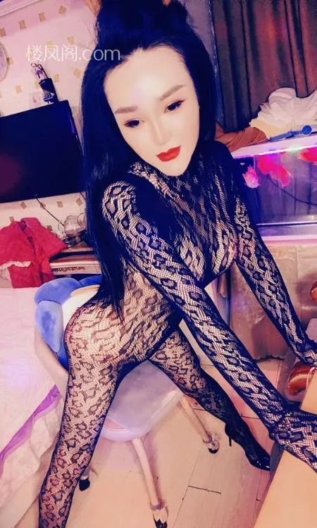 全国免费楼凤资源