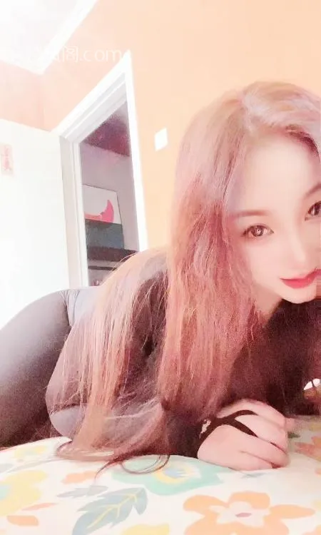 全国免费楼凤资源