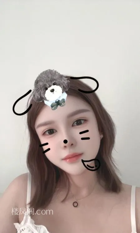 全国免费楼凤资源