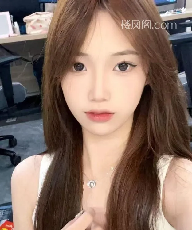 全国免费楼凤资源