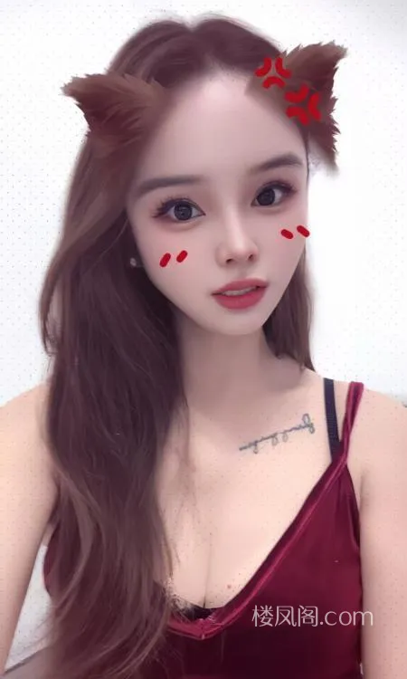 全国免费楼凤资源