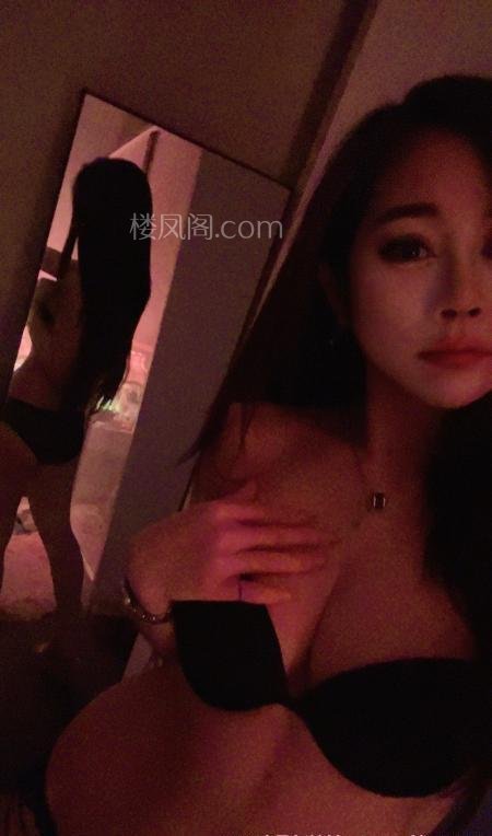 全国免费楼凤资源