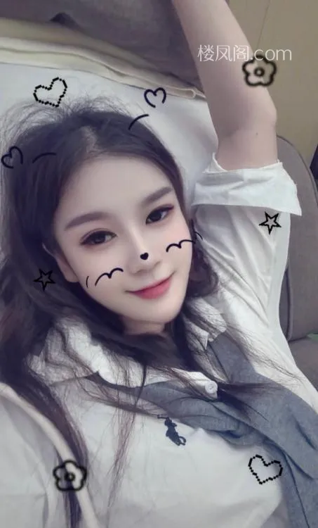 全国免费楼凤资源