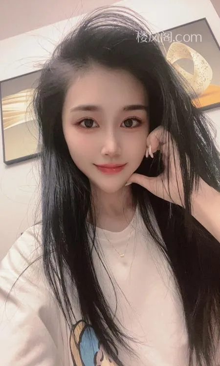 全国免费楼凤资源