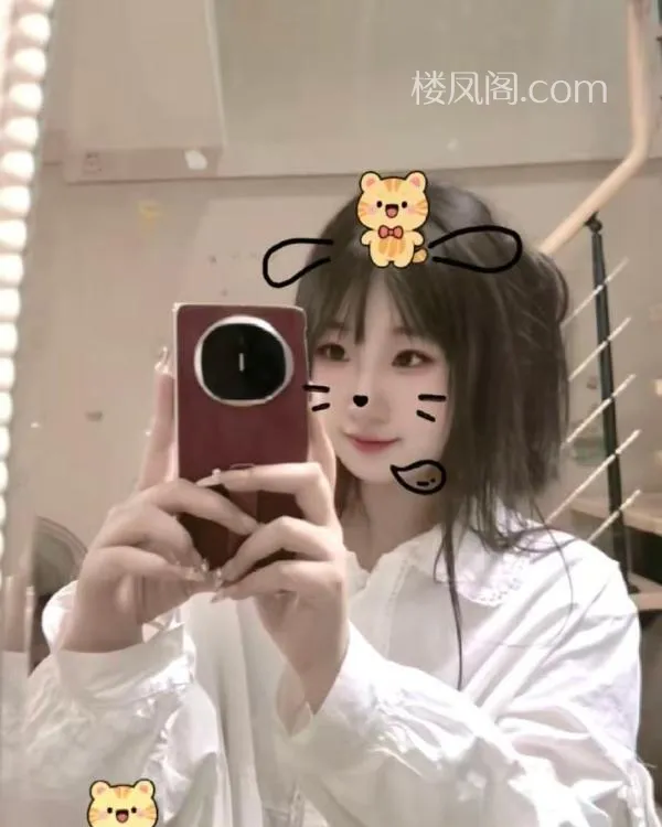 全国免费楼凤资源