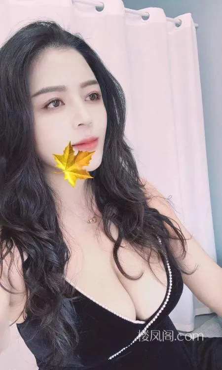 全国免费楼凤资源