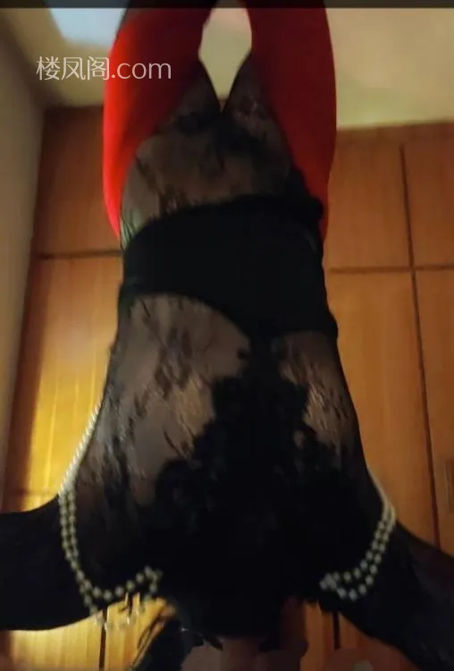 全国免费楼凤资源