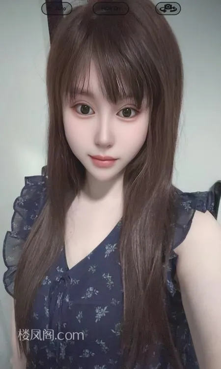 全国免费楼凤资源