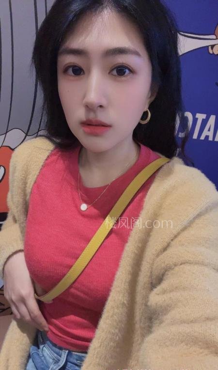 全国免费楼凤资源