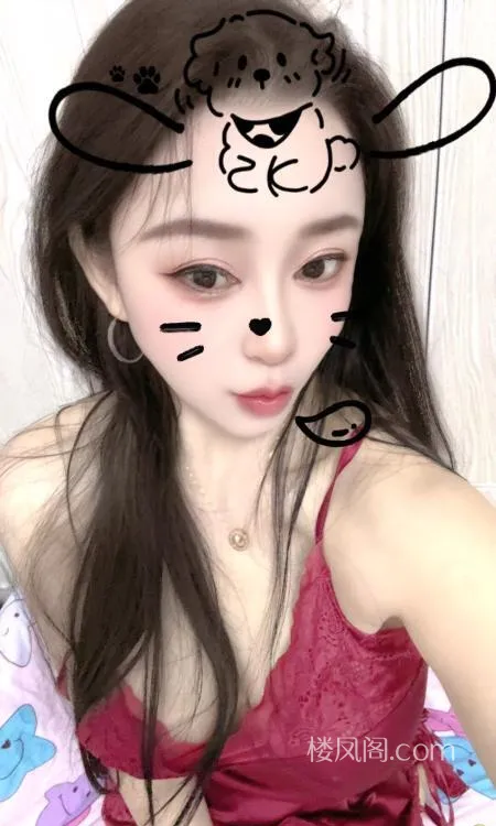 全国免费楼凤资源