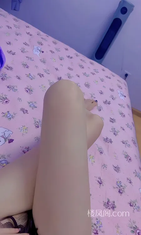 全国免费楼凤资源