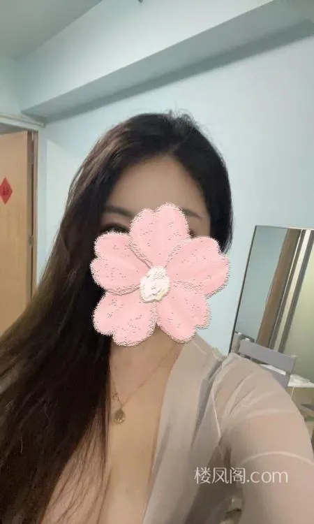 全国免费楼凤资源