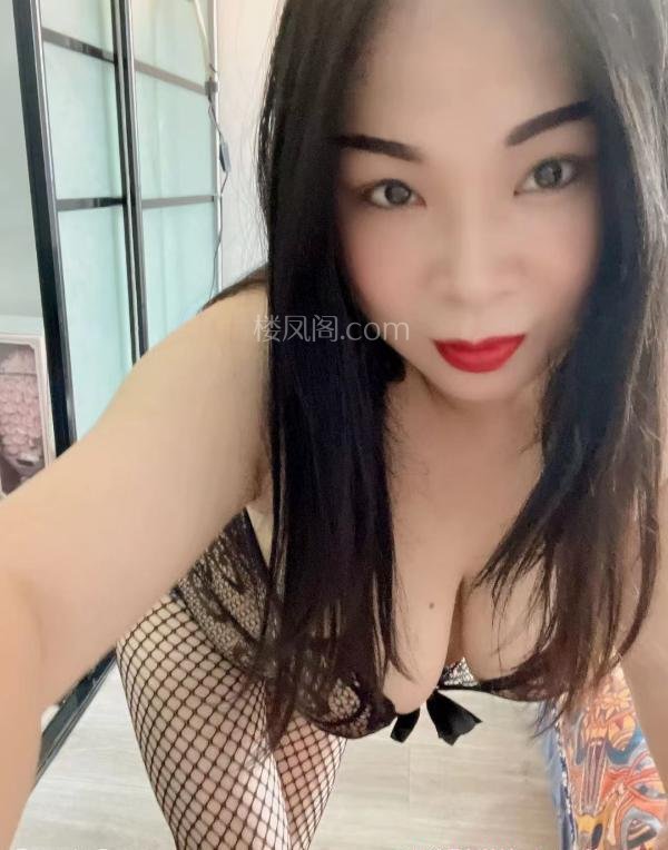 全国免费楼凤资源