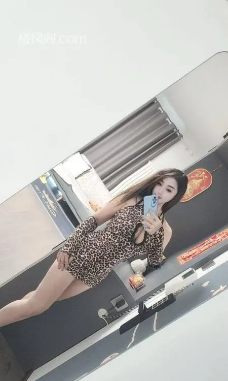 全国免费楼凤资源