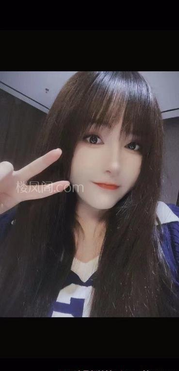 全国免费楼凤资源