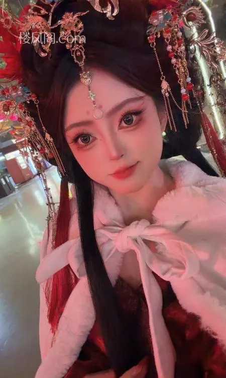 全国免费楼凤资源