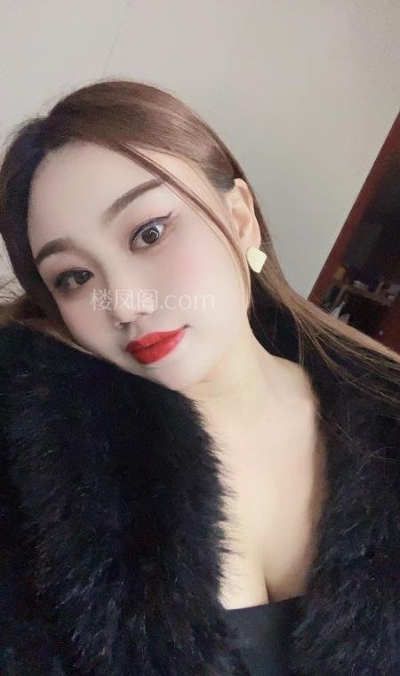 全国免费楼凤资源