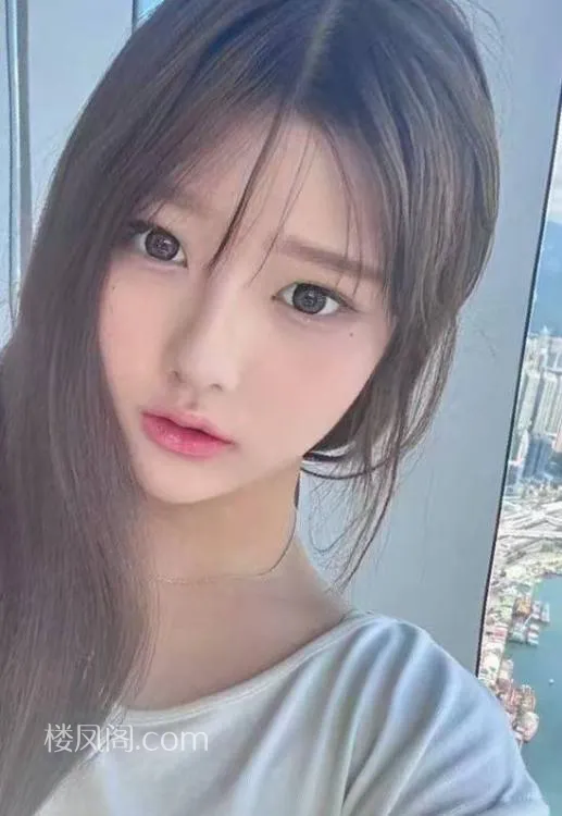 全国免费楼凤资源