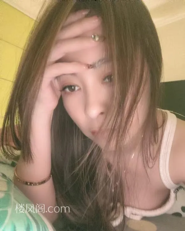 全国免费楼凤资源