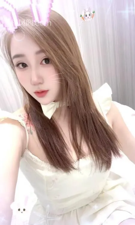 全国免费楼凤资源