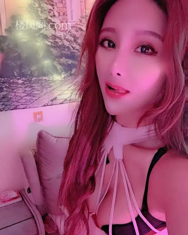 全国免费楼凤资源