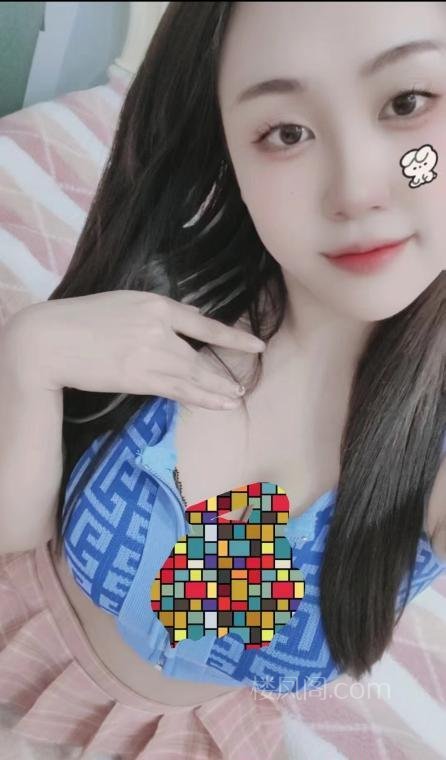 全国免费楼凤资源