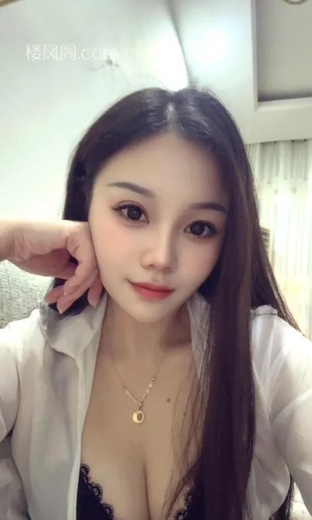 全国免费楼凤资源