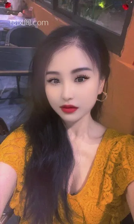 全国免费楼凤资源