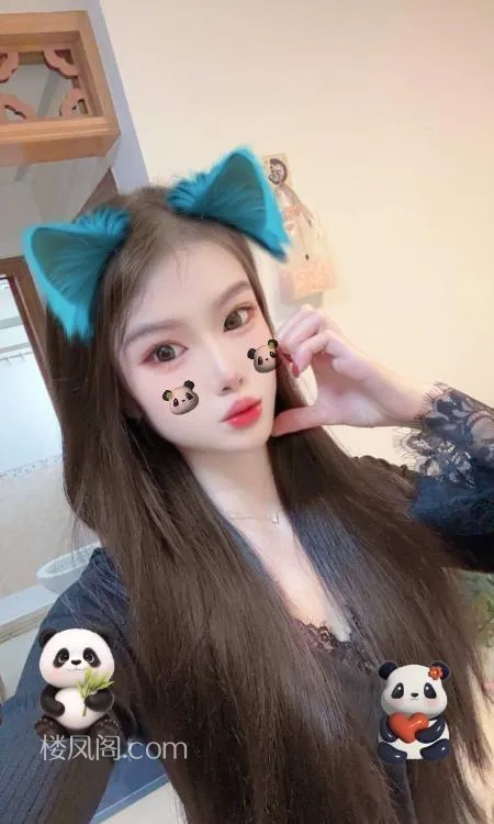 全国免费楼凤资源