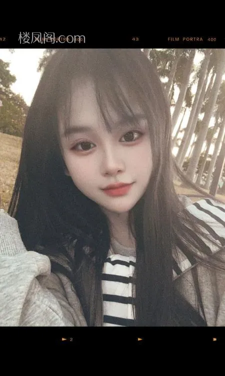 全国免费楼凤资源