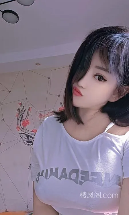 全国免费楼凤资源