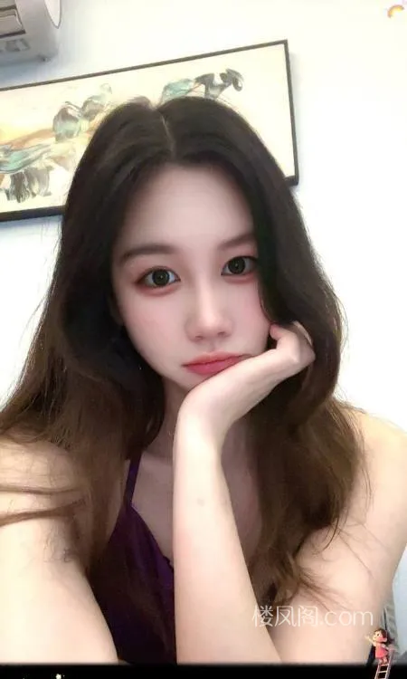 全国免费楼凤资源