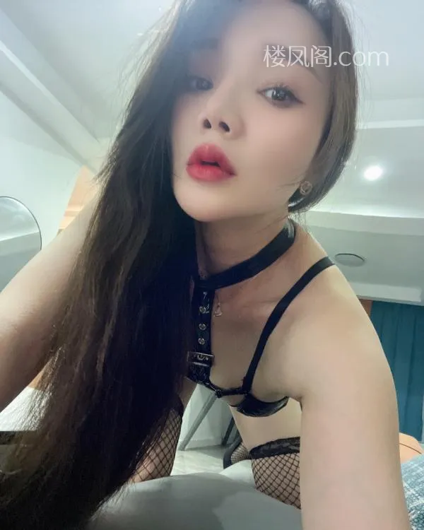 全国免费楼凤资源