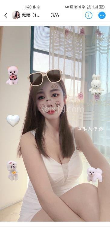 全国免费楼凤资源