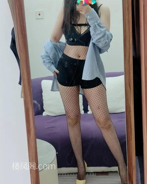 全国免费楼凤资源