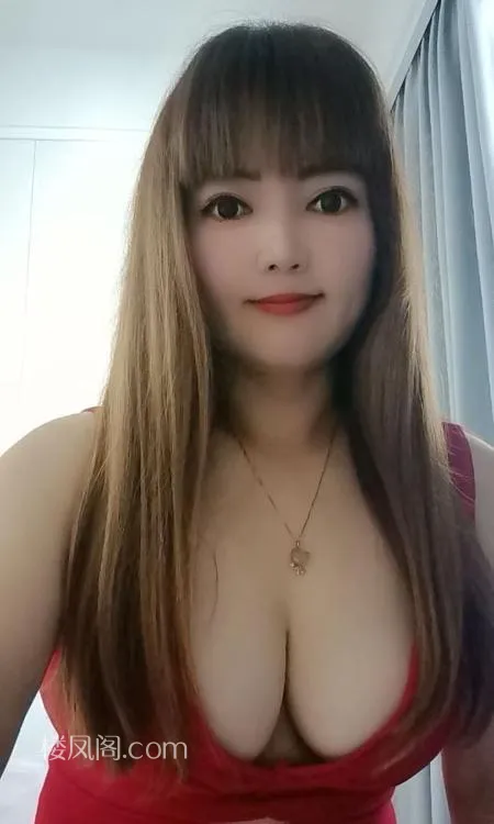全国免费楼凤资源