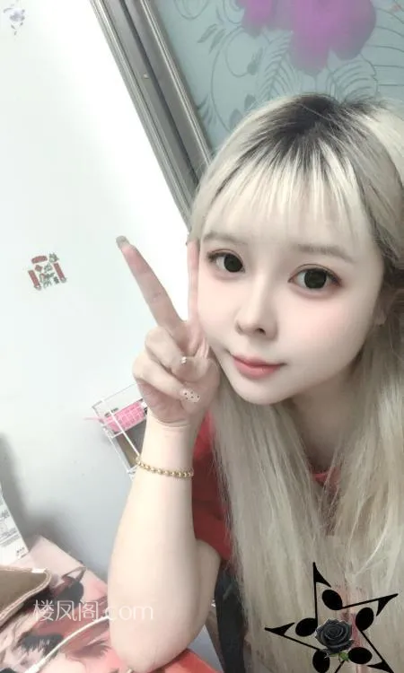 全国免费楼凤资源