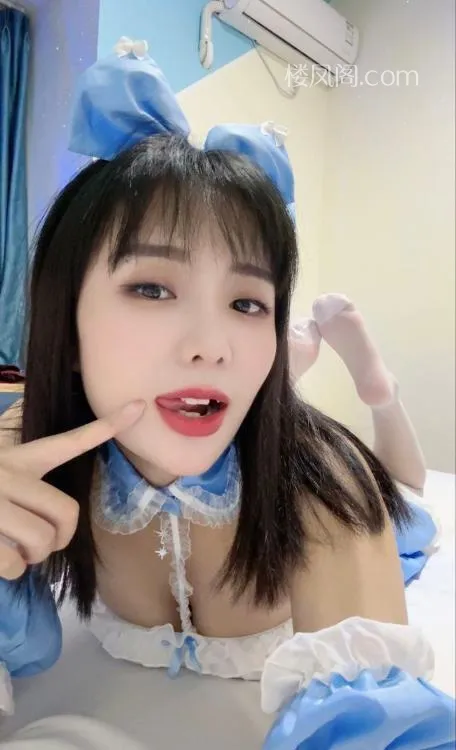 全国免费楼凤资源